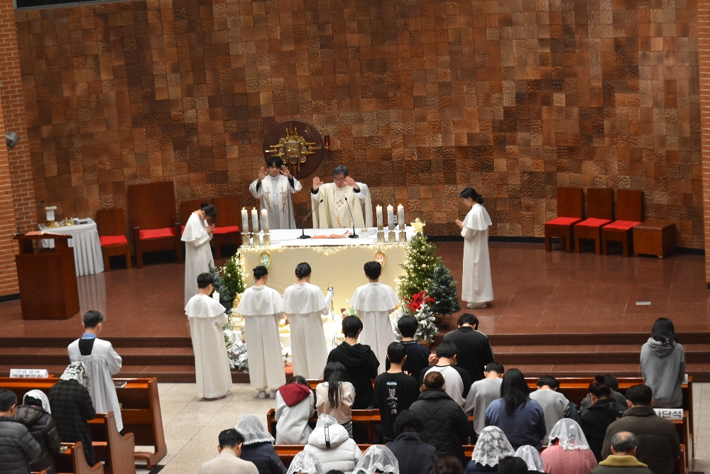 1000-DSC_9286.JPG