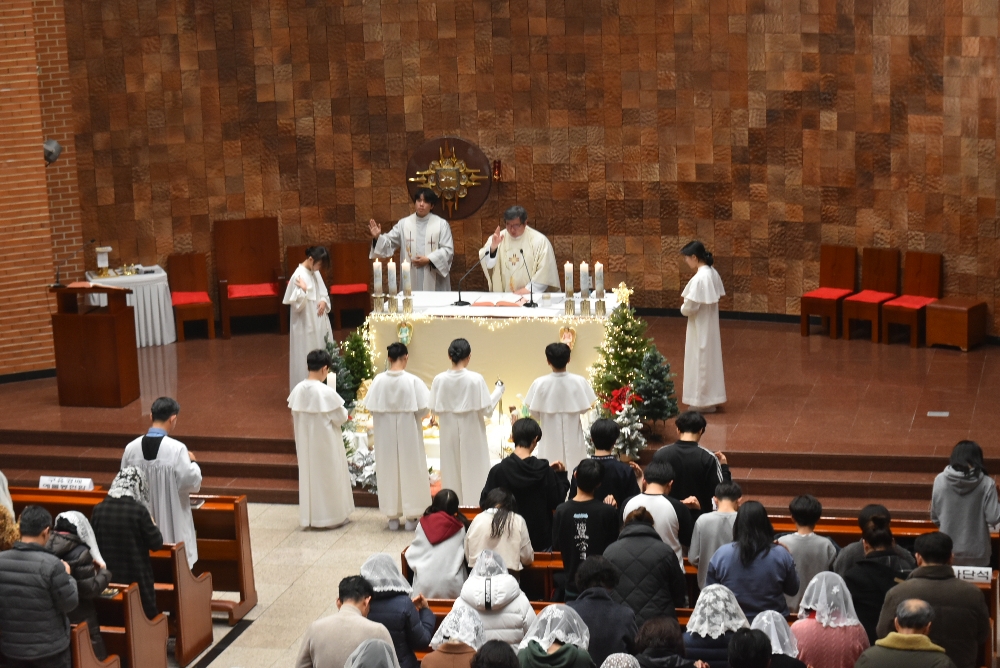 1000-DSC_9287.JPG