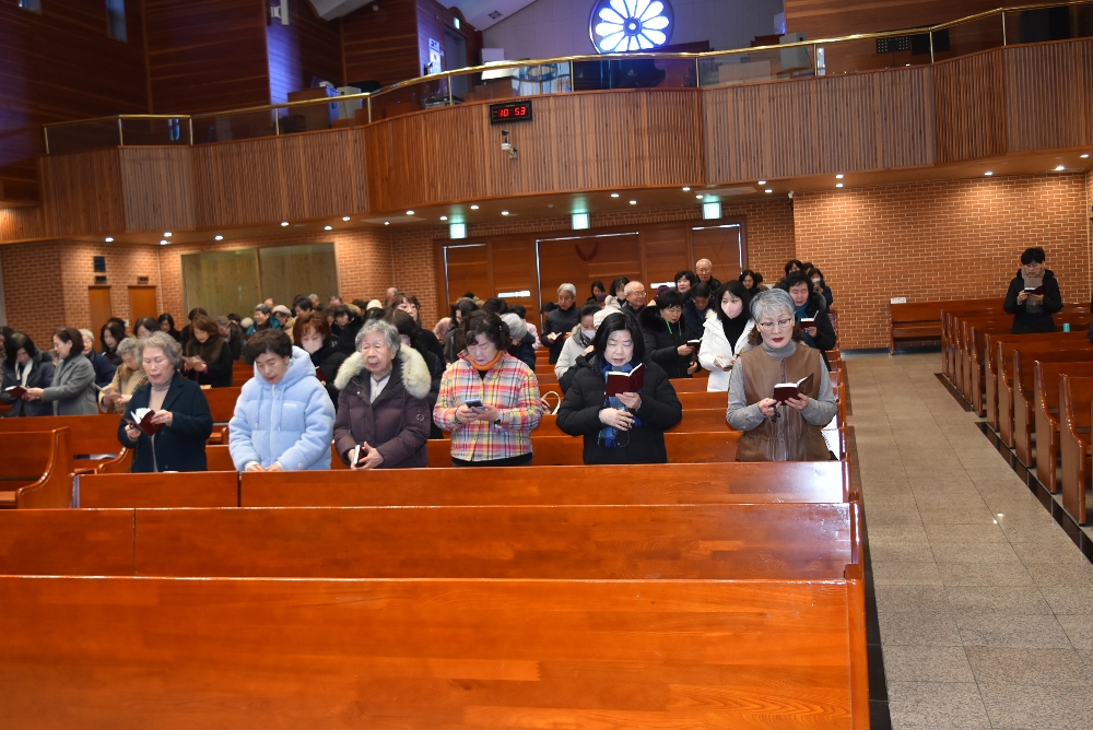 1000-DSC_9346.JPG