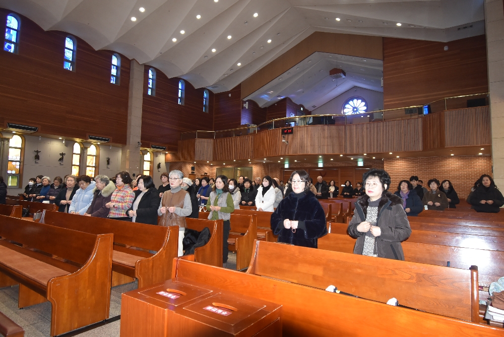 1000-DSC_9351.JPG