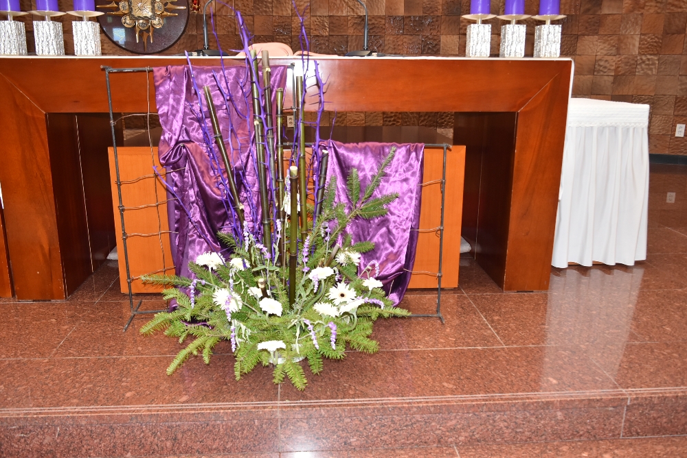 1000-DSC_9472.JPG