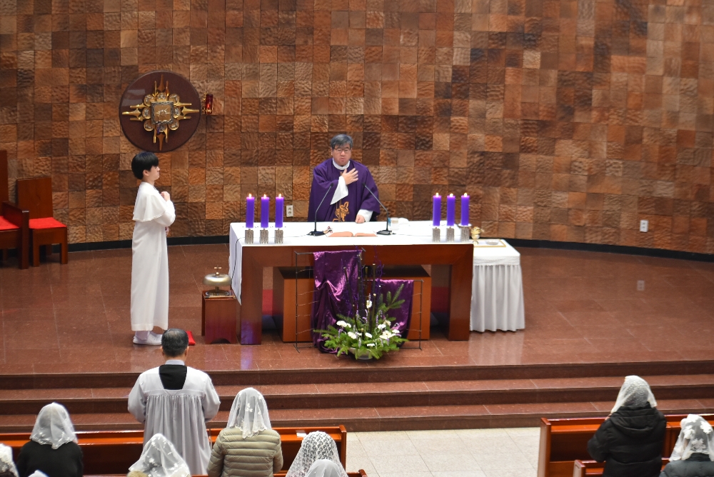 1000-DSC_9425.JPG