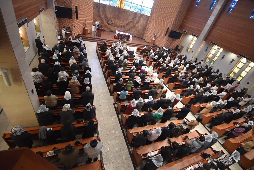 1000-DSC_9437.JPG