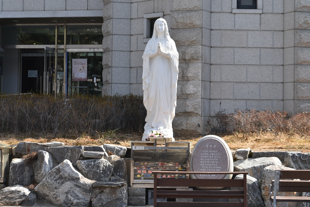 1000-DSC_9558.JPG