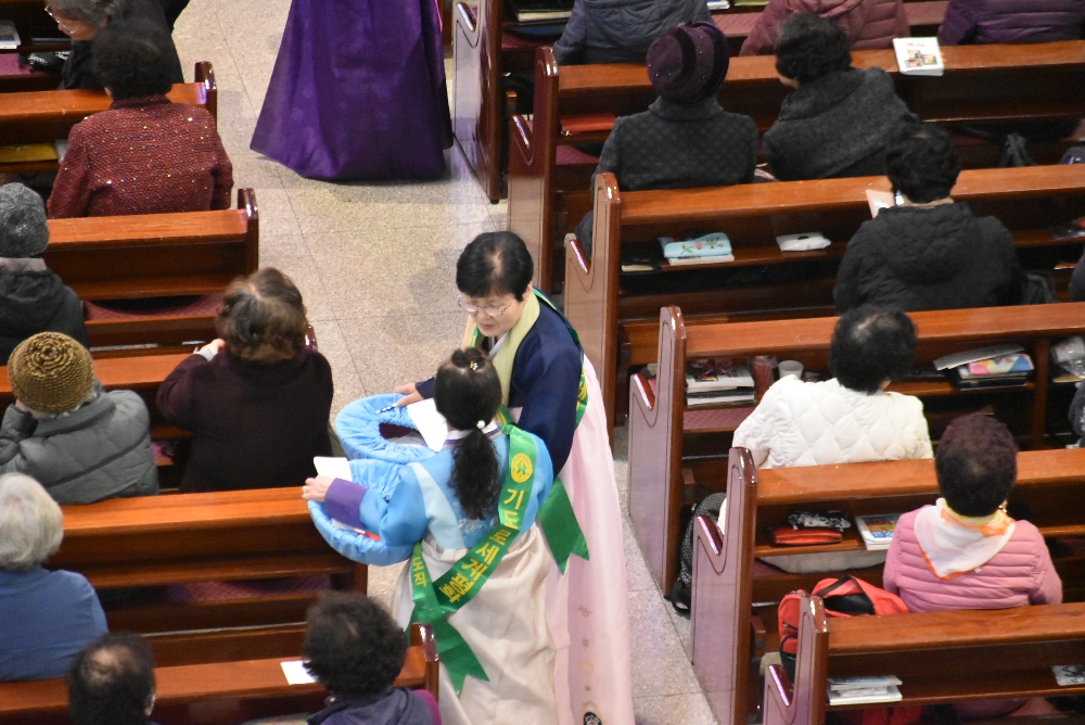 1000-DSC_9593.JPG