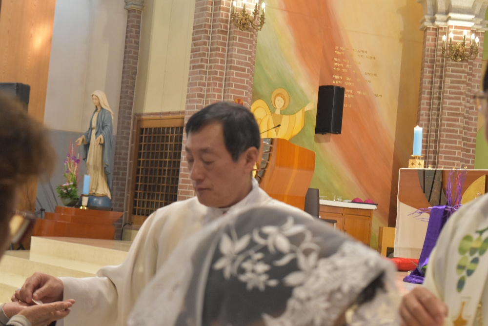 1000-DSC_9804.JPG