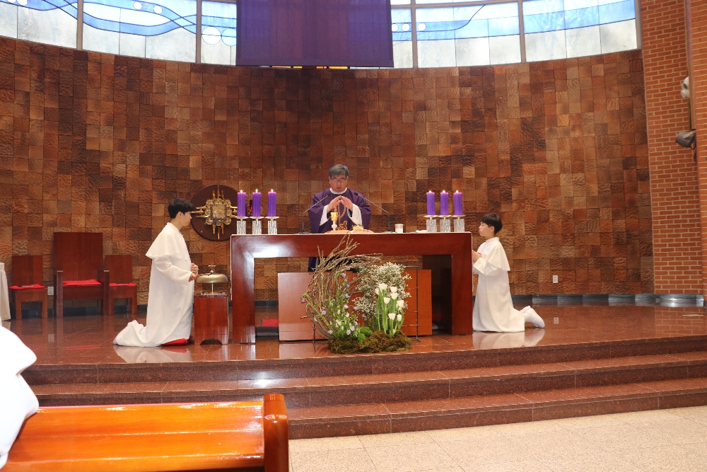1000-IMG_2220.JPG