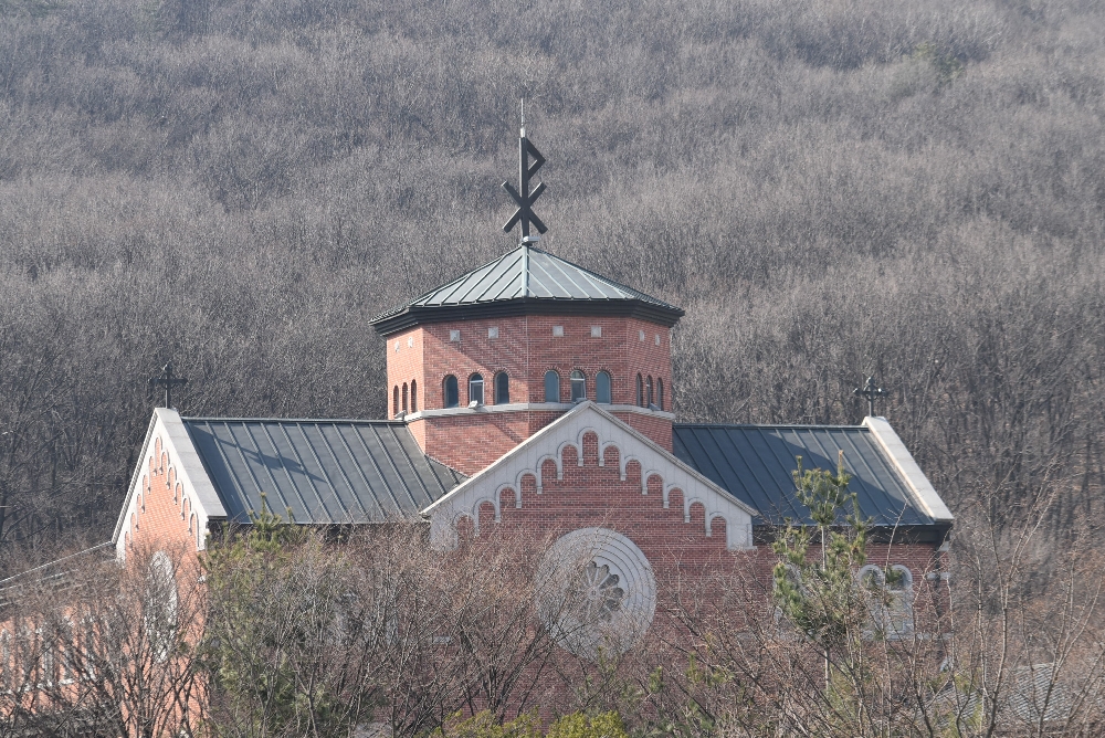 1000-DSC_0102.JPG