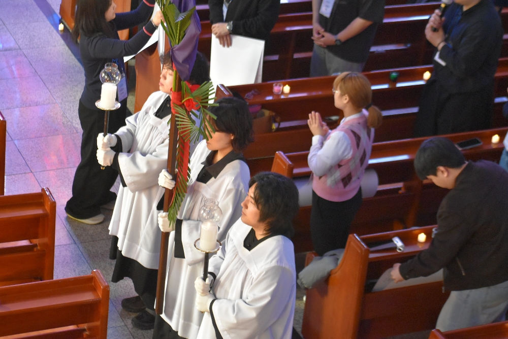1000-DSC_0119.JPG