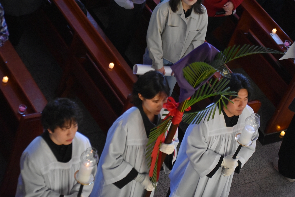 1000-DSC_0129.JPG