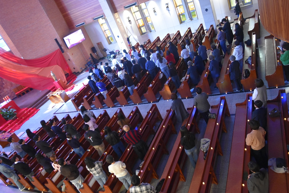 1000-DSC_0133.JPG