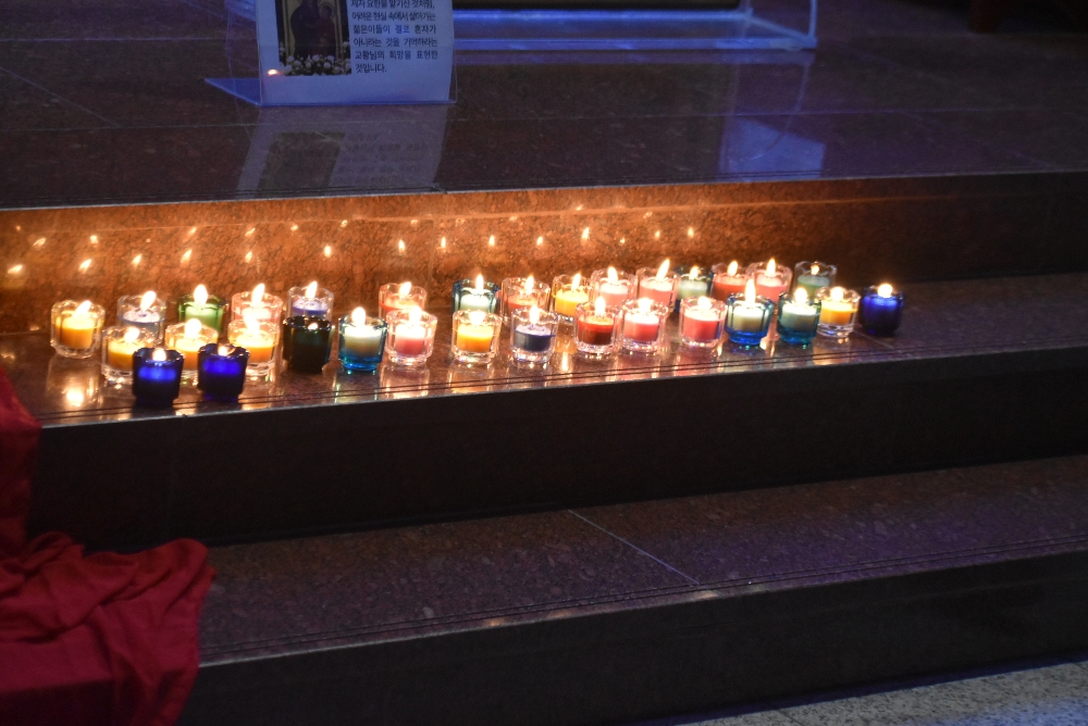 1000-DSC_0235.JPG