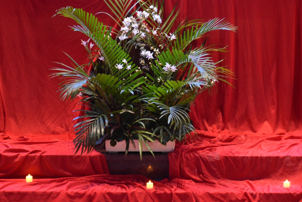 1000-DSC_0248.JPG