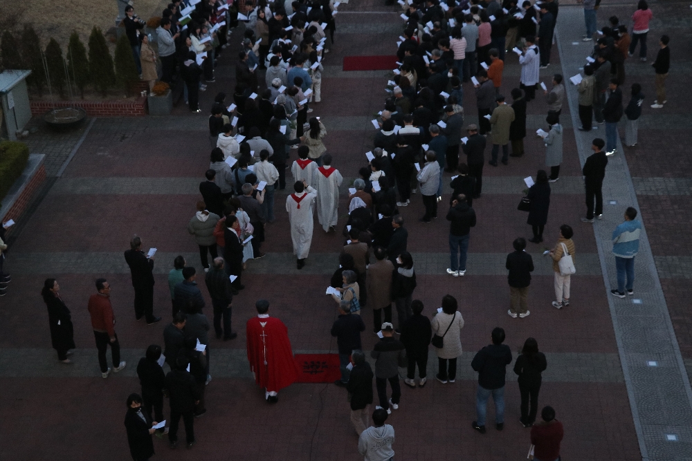 1000-IMG_2382.JPG