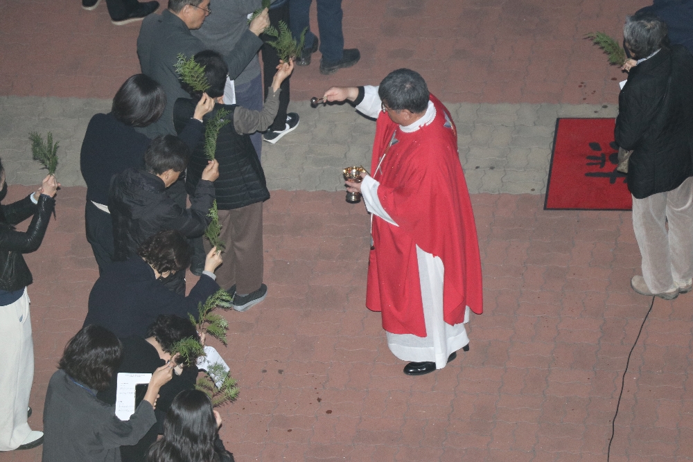 1000-IMG_2395.JPG