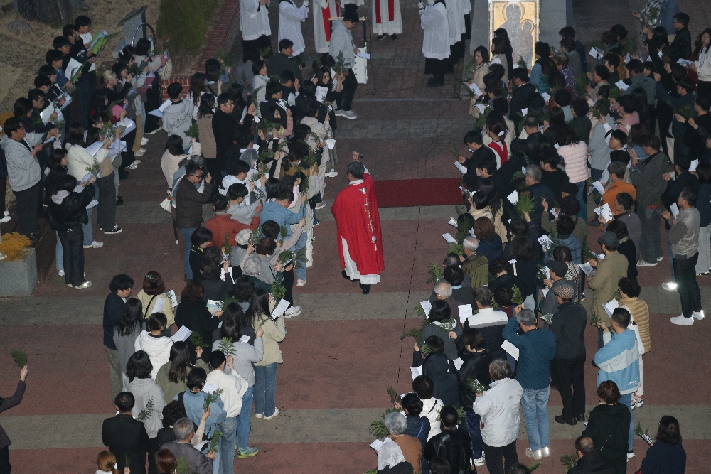 1000-IMG_2397.JPG