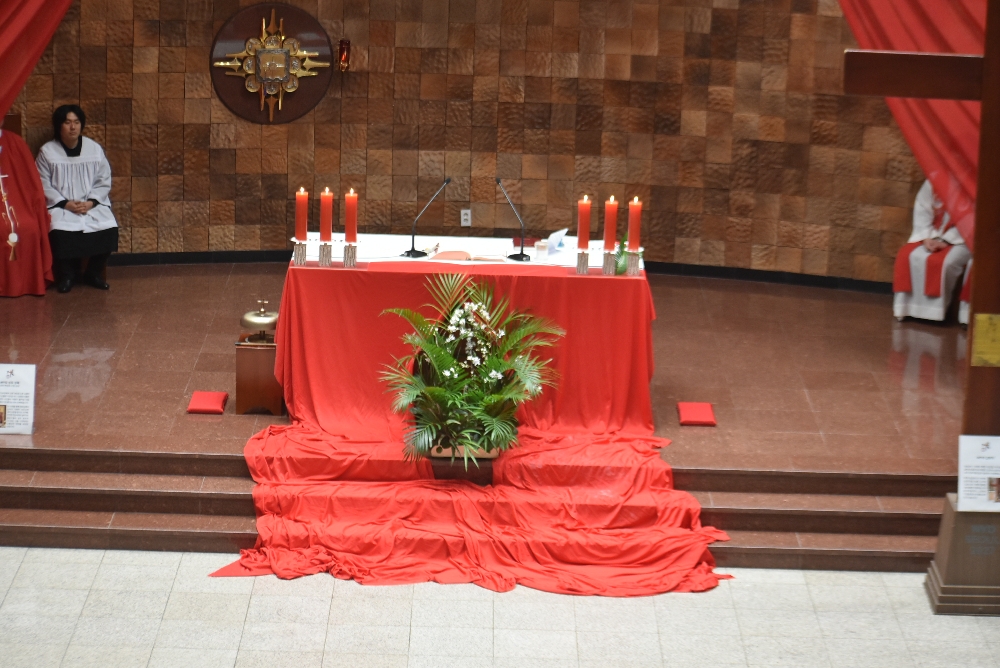 1000-DSC_0273.JPG