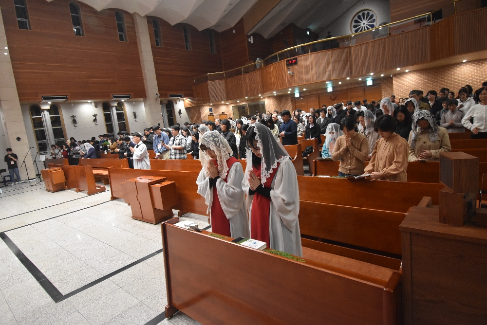 1000-DSC_0286.JPG