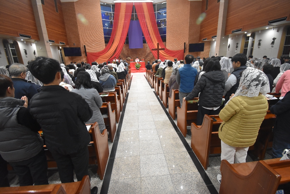 1000-DSC_0288.JPG