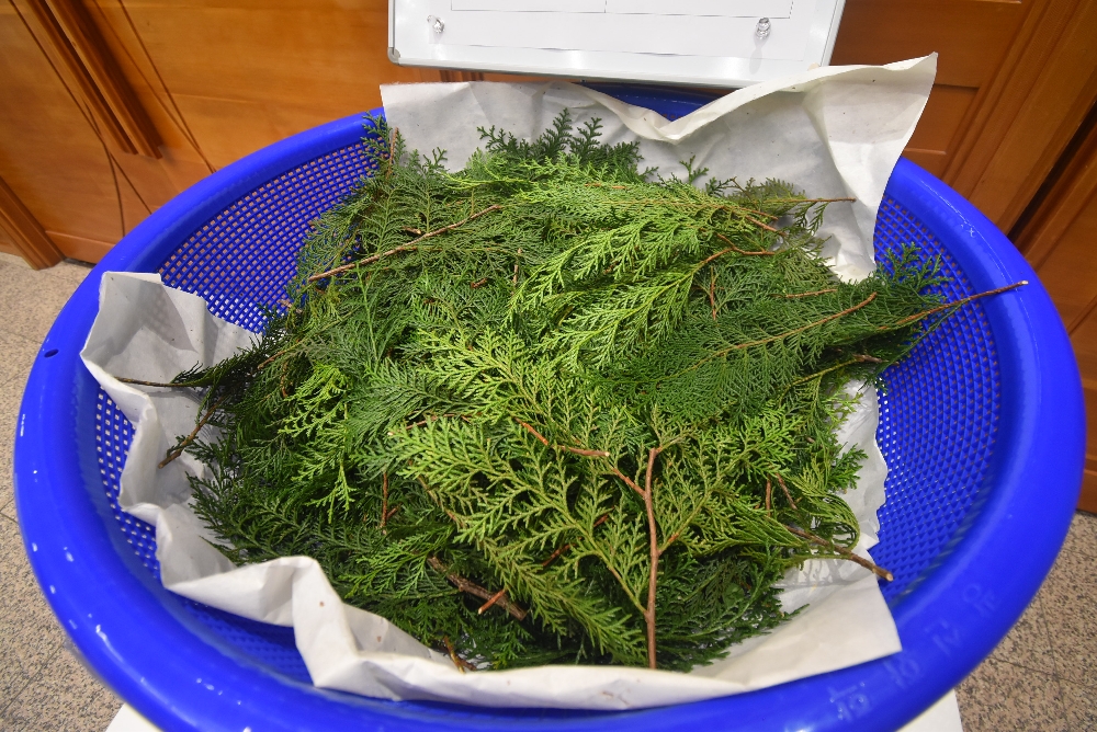 1000-DSC_0290.JPG