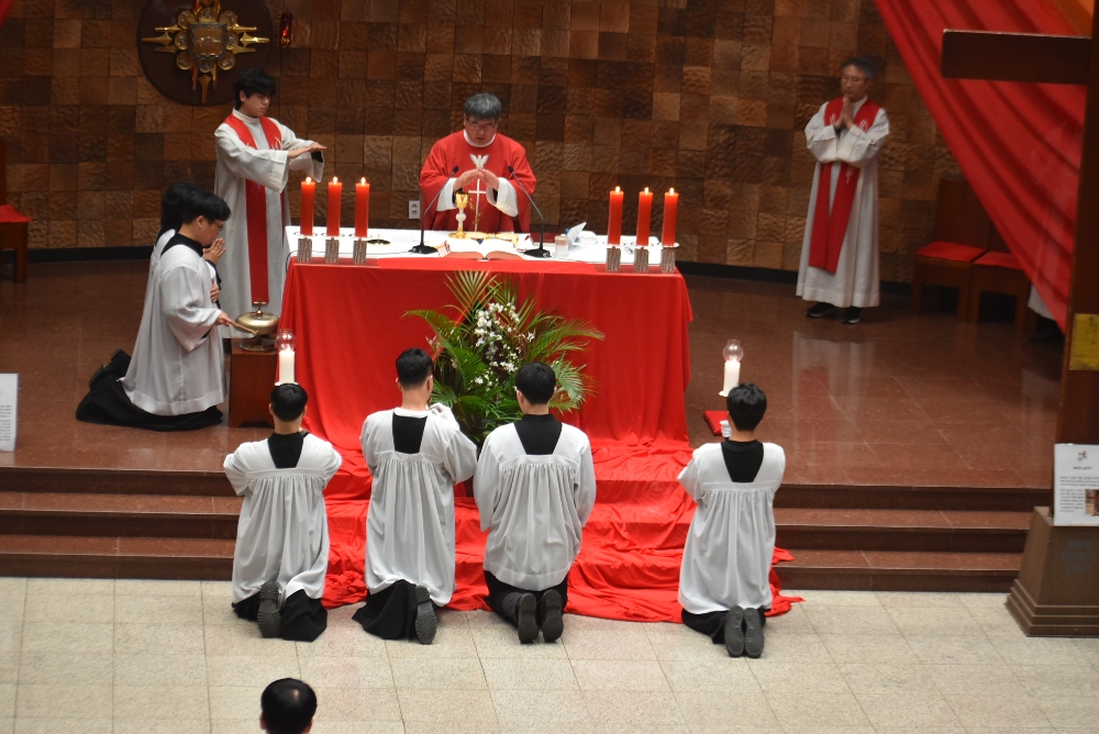 1000-DSC_0296.JPG