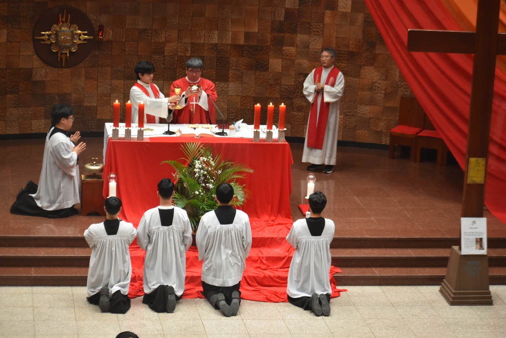 1000-DSC_0313.JPG