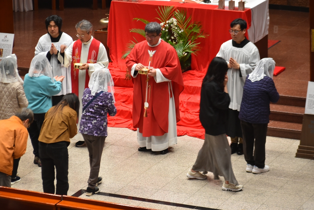 1000-DSC_0330.JPG