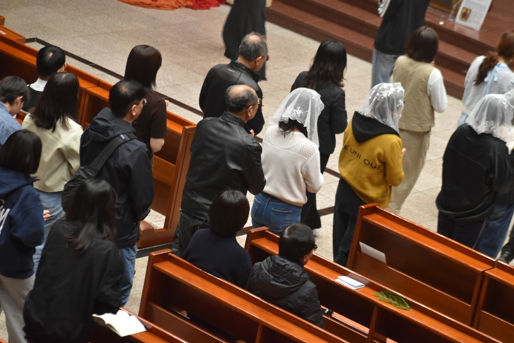 1000-DSC_0332.JPG