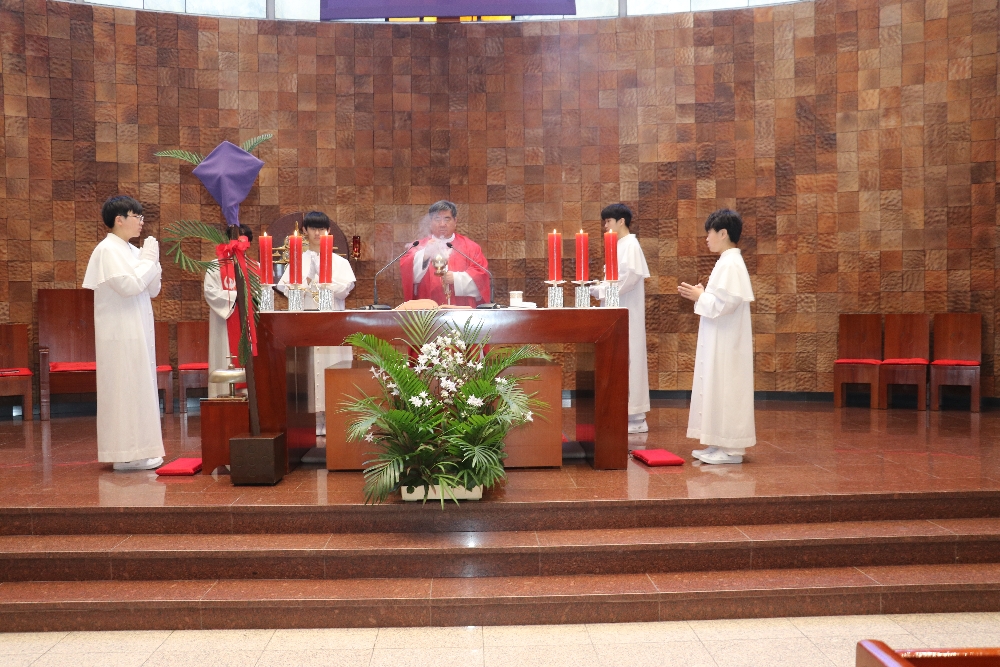 1000-IMG_2520.JPG