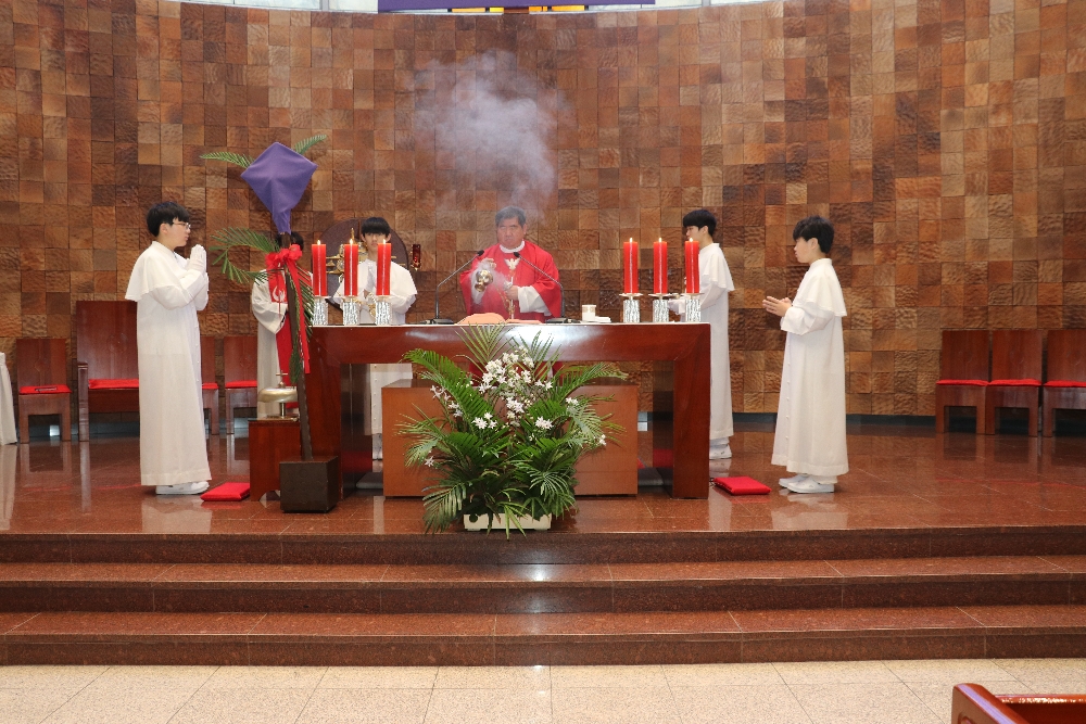 1000-IMG_2521.JPG
