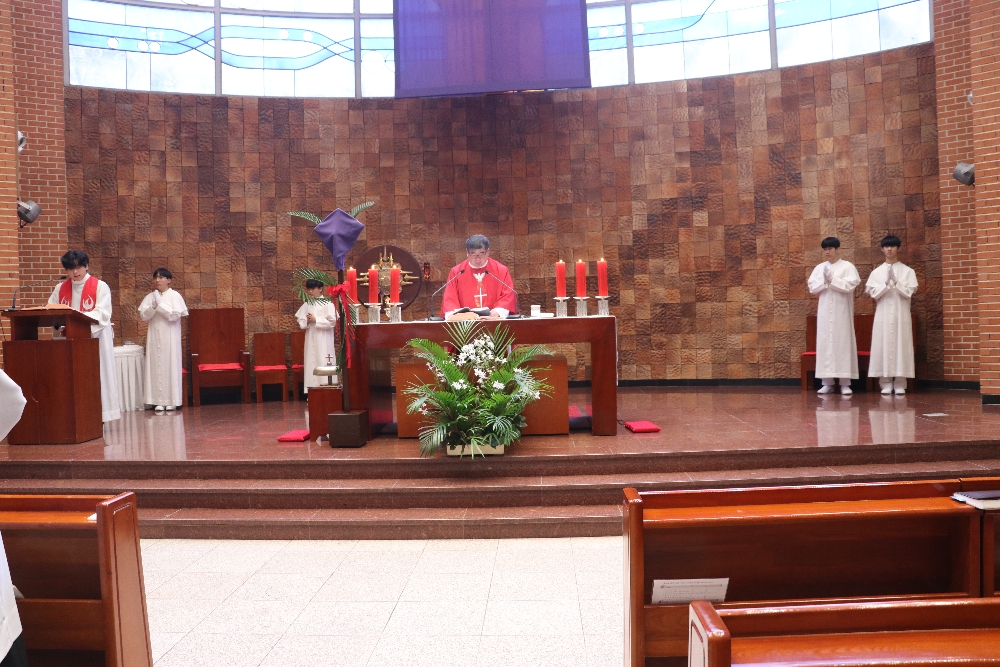 1000-IMG_2552.JPG