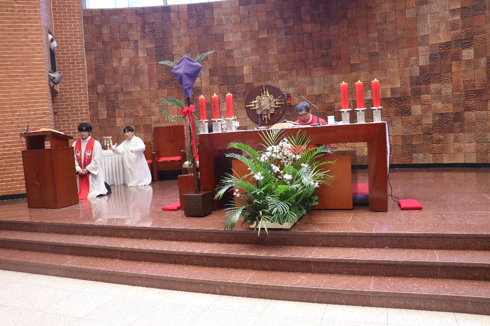 1000-IMG_2558.JPG