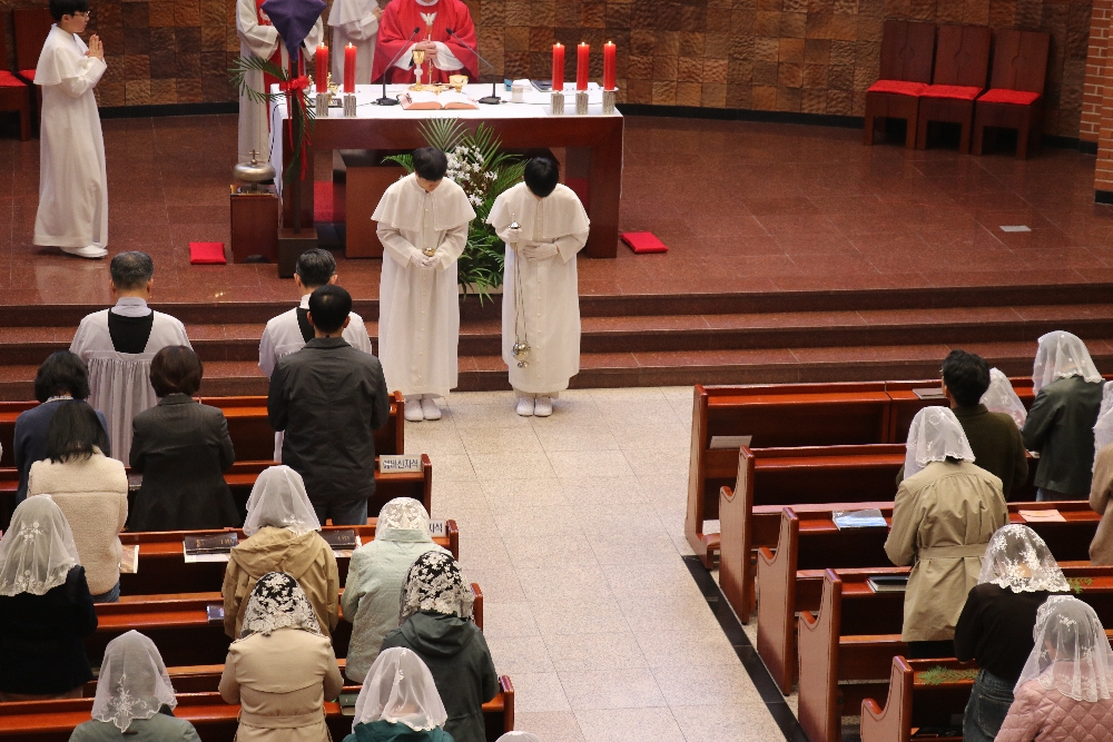 1000-IMG_2565.JPG