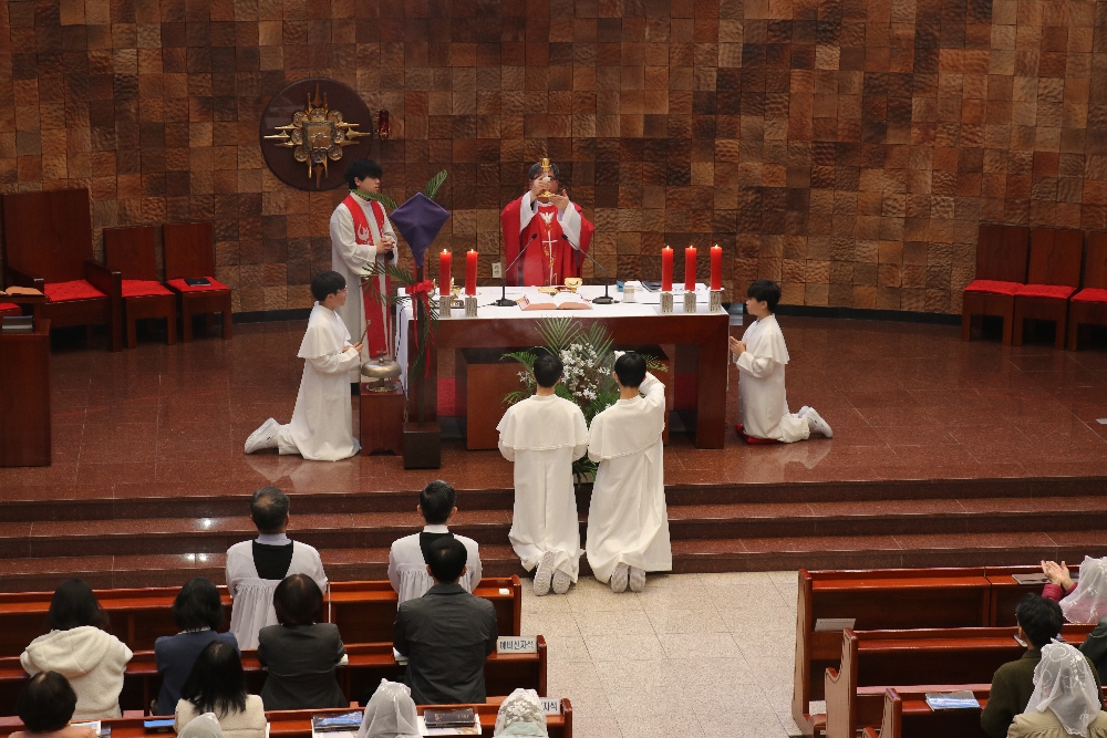 1000-IMG_2568.JPG