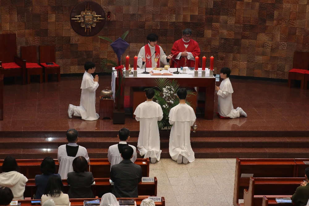 1000-IMG_2570.JPG