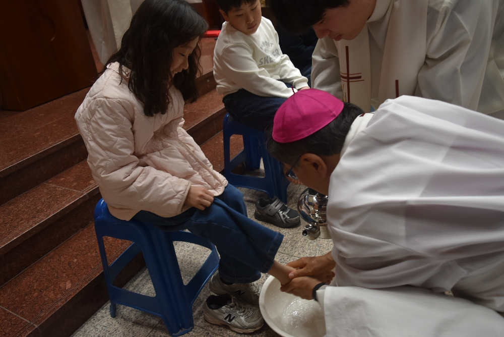 1000-DSC_0390.JPG