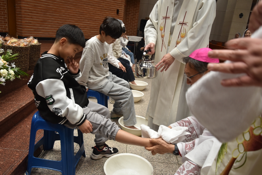 1000-DSC_0407.JPG