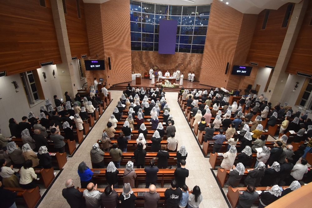 1000-DSC_0356.JPG
