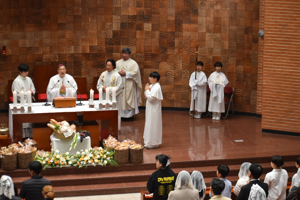 1000-DSC_0358.JPG
