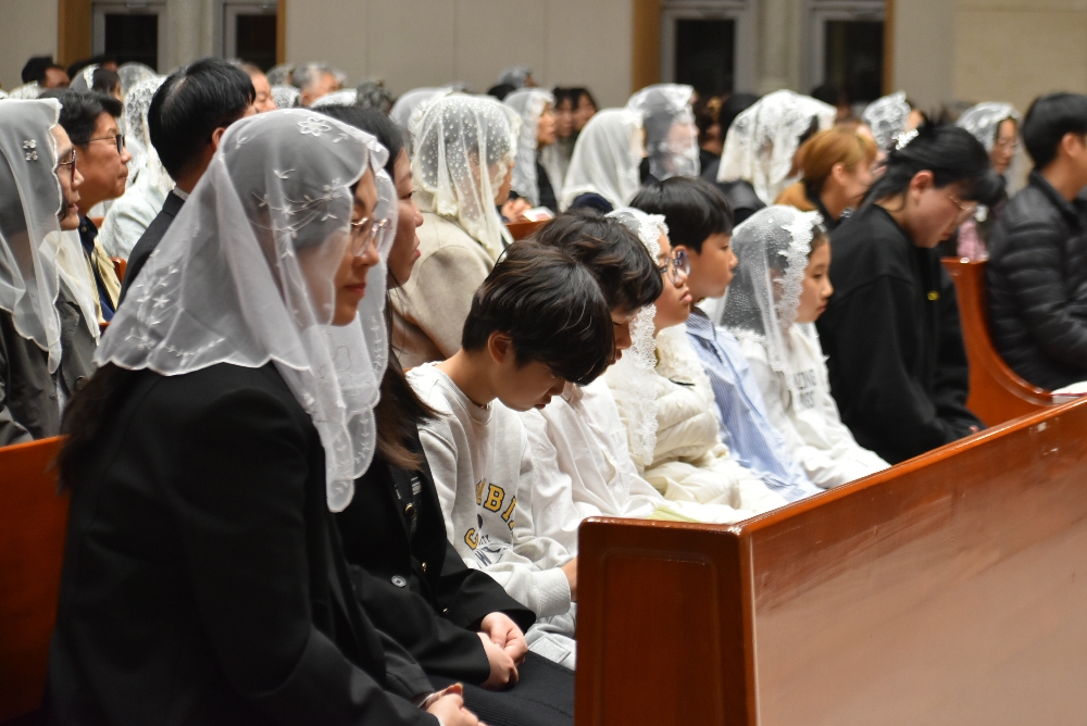 1000-DSC_0379.JPG