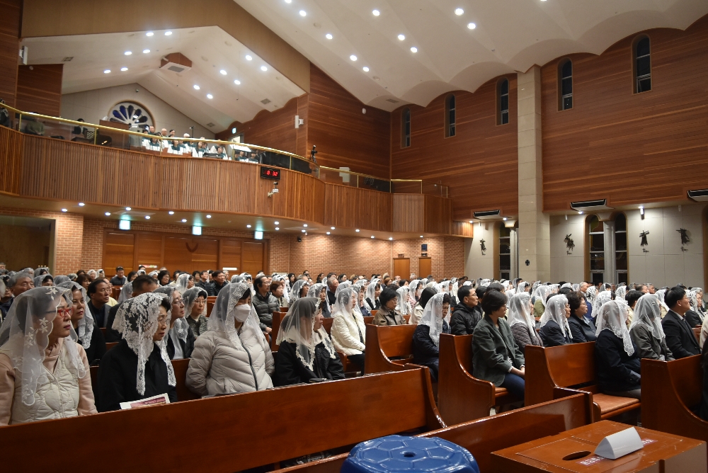 1000-DSC_0384.JPG