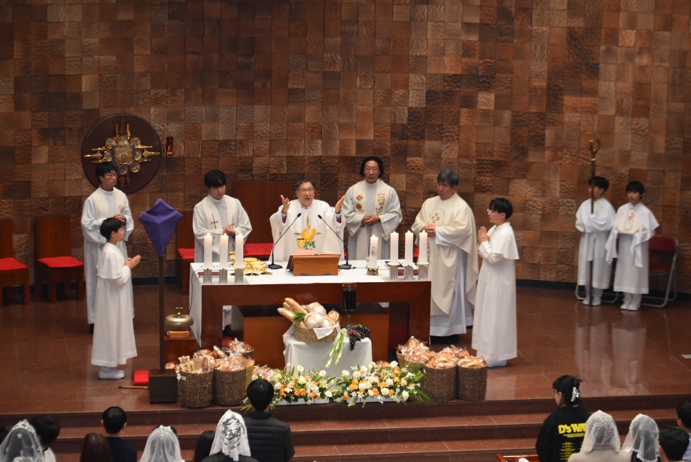 1000-DSC_0442.JPG