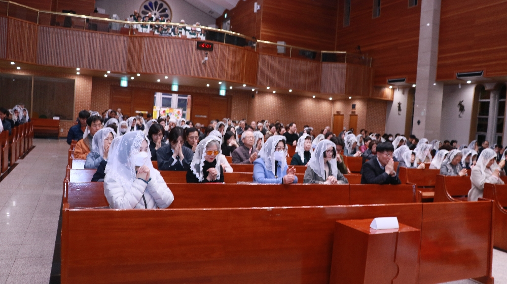 1000-IMG_2941.JPG