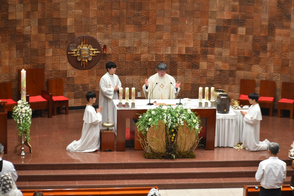 1000-DSC_0516.JPG