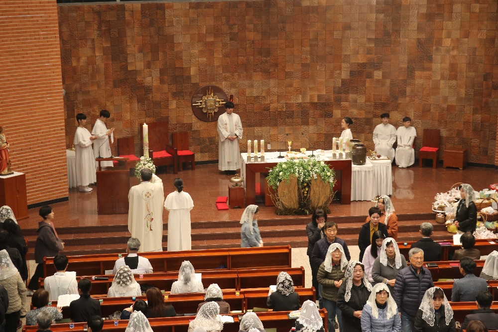 1000-IMG_3095.JPG