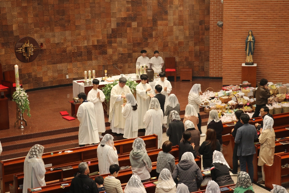 1000-IMG_3113.JPG