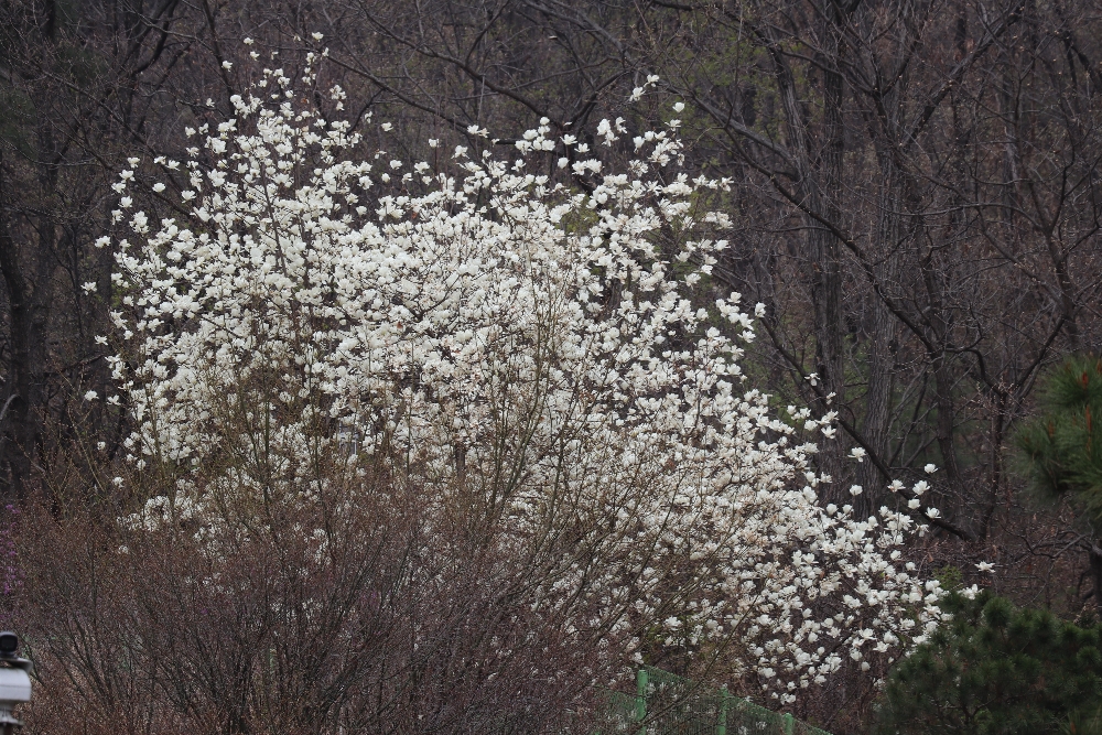 1000-IMG_3134.JPG