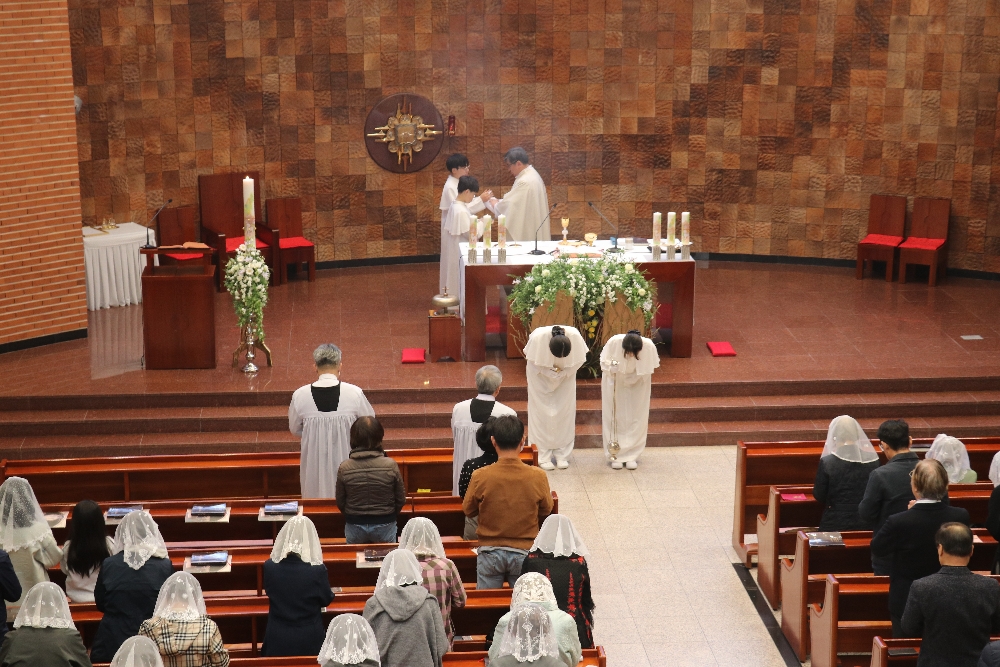 1000-IMG_3171.JPG