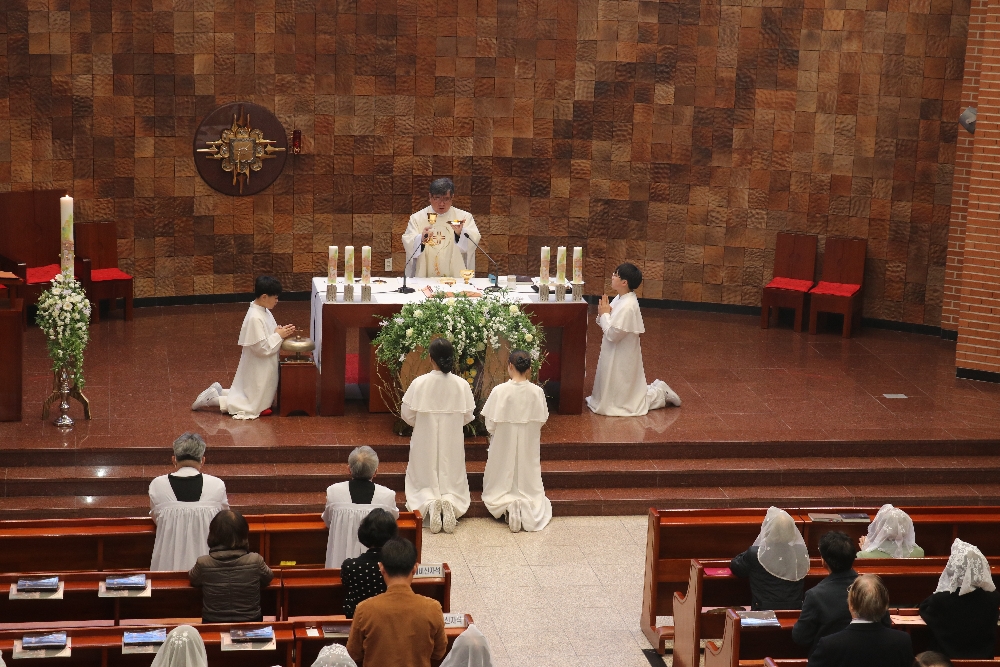 1000-IMG_3178.JPG