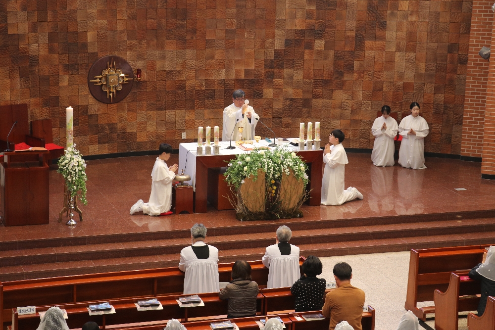 1000-IMG_3186.JPG